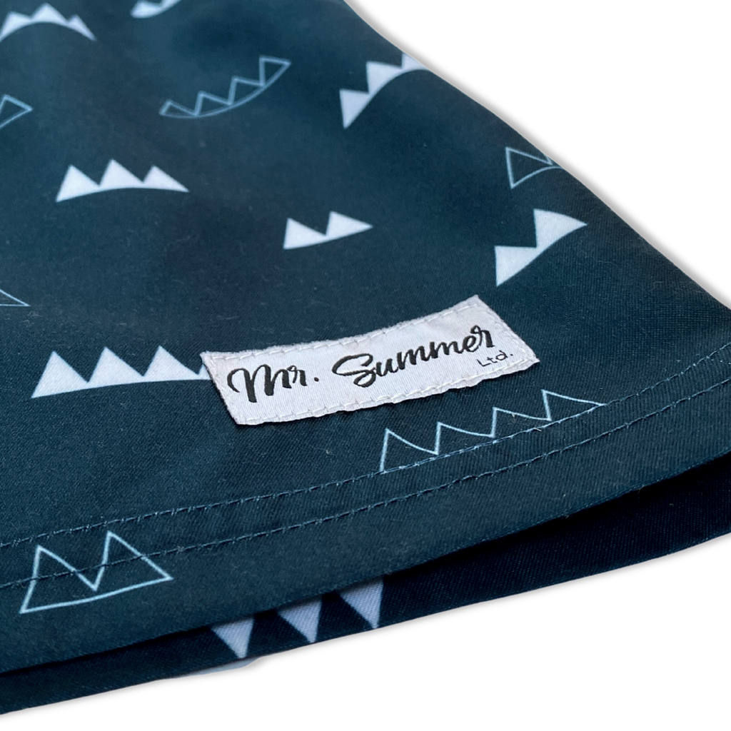 The Peaks and Valleys - Mr. Summer Ltd.